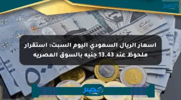 أسعار الريال السعودي اليوم السبت: استقرار ملحوظ عند 13.43 جنيه بالسوق المصرية